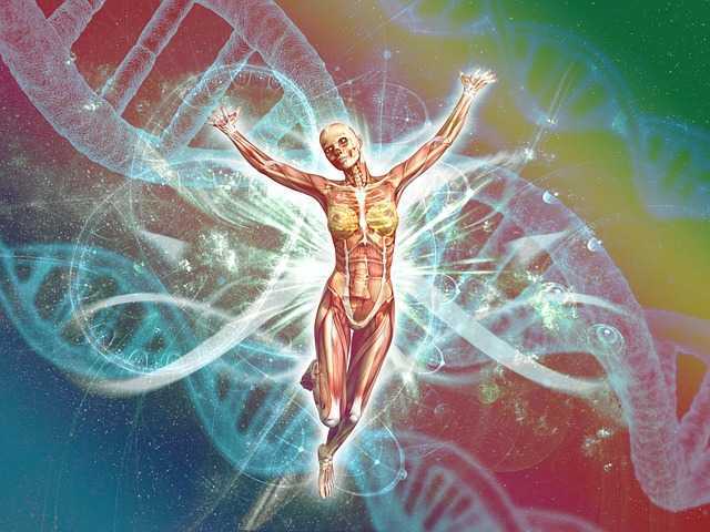 DNA-분석005.jpg